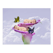 Twice the joy with baby twins postcards