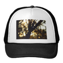 Twilight branches mesh hats