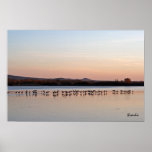 twilight cranes print
