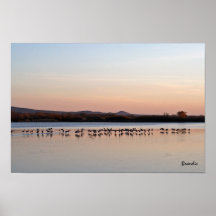 twilight cranes print
