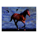 Twilight horse cards