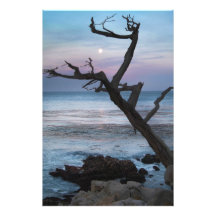 Twilight Photo Art
