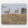 Twin Antelope Behind Fence Mouse Mat