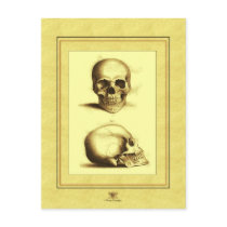 Twin Antique Skulls Post Cards