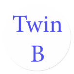 Twin B Blue Sticker