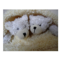 twin baby announcement- bears in a blanket postcard