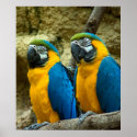 Twin Beaks posters