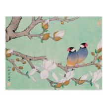 Twin Birds in the Branches Postcard