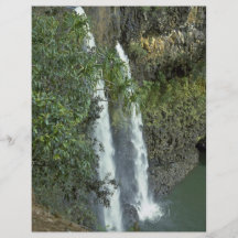 Twin Falls Full Color Flyer