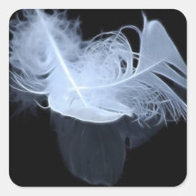 Twin flame feathers and reflection stickers