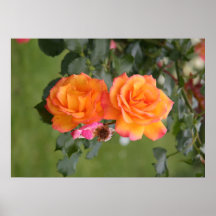 Twin flowers posters