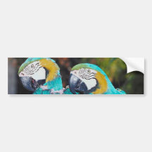 Twin Parrott Bumper Sticker