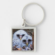 Twin Peeps Key Chain