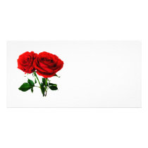 Twin Red Roses