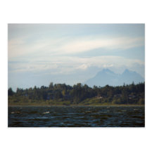 TWIN SISTERS POSTCARD