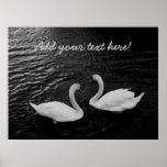 Twin Swans Poster