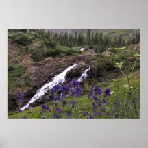 Twin Waterfall and Purple Flowers Posters