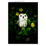Twinkle Twinkle Little Stars Cards