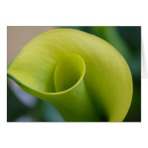 Twirl Greeting Card