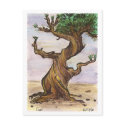 Twisted Tree Postcard