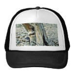 Twisted Trunk Closeup Mesh Hats