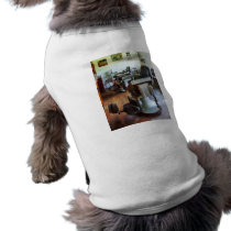 Two Barber Chairs Dog Clothes