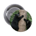 two bears in a tree button