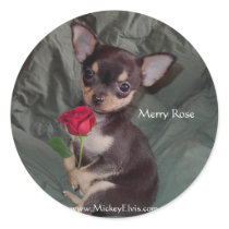Two Beautiful Roses Round Stickers
