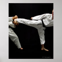 Two Blackbelts Sparring 2 Poster