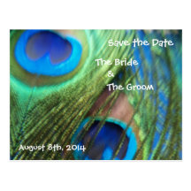 Two Blue Peacock Feathers Save the Date Postcards