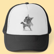 Two Boxer Dogs hats