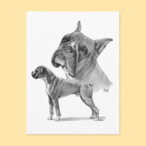 Two Boxer Dogs postcards