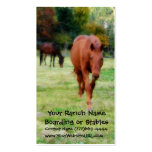 Two Brown Horses on Pasture Business Card Template