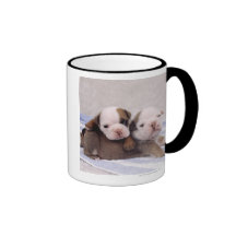 Two bulldog puppies on towel mugs