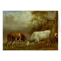 Two Bulls with Locked Horns, 1653 Cards