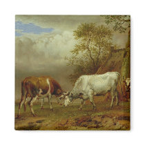 Two Bulls with Locked Horns, 1653 Fridge Magnet
