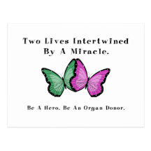 Two Butterflies Are One Post Card