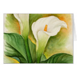 Two Cala Lilies Watercolor Art - Multi Greeting Cards