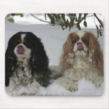 Two Cavaliers Mousepad