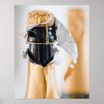 Two champagne bottles print