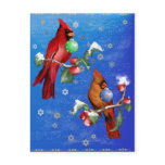 Two Christmas Birds  Postcard