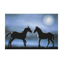 Two colts making friends gallery wrap canvas