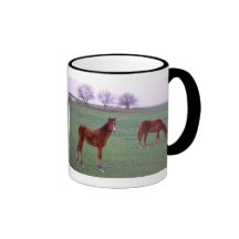 Two Colts On An Amish Farm Coffee Mug