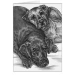 Two Cuddly Dogs Drawing by Kelli Swan Greeting Card