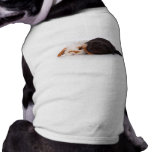 Two cute baby bunnies doggie t shirt