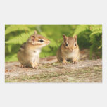 Two Cute Baby Chipmunks Sticker