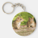 Two Cute Chipmunk Babies Key Chains