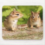 Two Cute Chipmunk Babies Mouse Pad