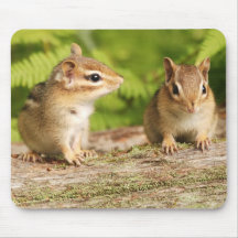 Two Cute Chipmunk Babies Mouse Pad