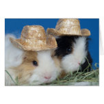Two Cute Guinea Pigs Greeting Card